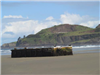 Dock on Beach