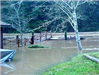 Flooding Impact