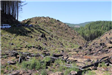 2018 - 2500 Road Fire - Depoe Bay 2 Years Later