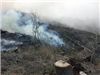 2016 - 2500 Road Fire - Depoe Bay - 2