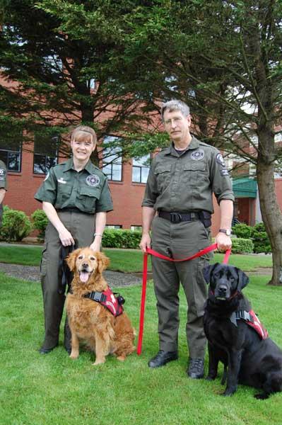 K9s Angel and Ranger