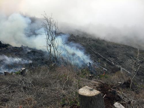 2016 - 2500 Road Fire - Depoe Bay - 2
