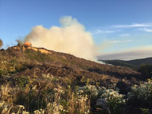 2016 - 2500 Road Fire - Depoe Bay