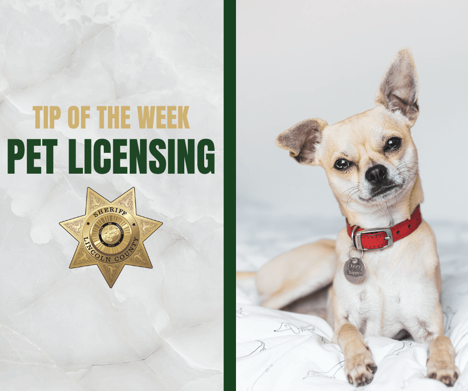 Tip of the Week Images - Pet Licensing
