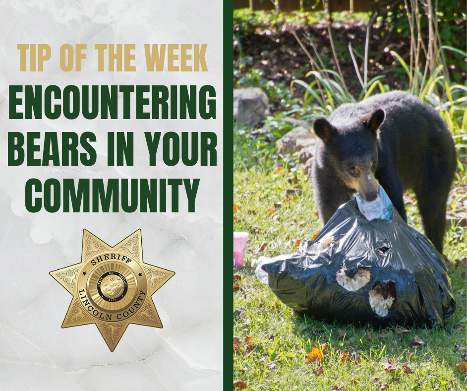 Tip of the Week - Encountering Bears in Your Community