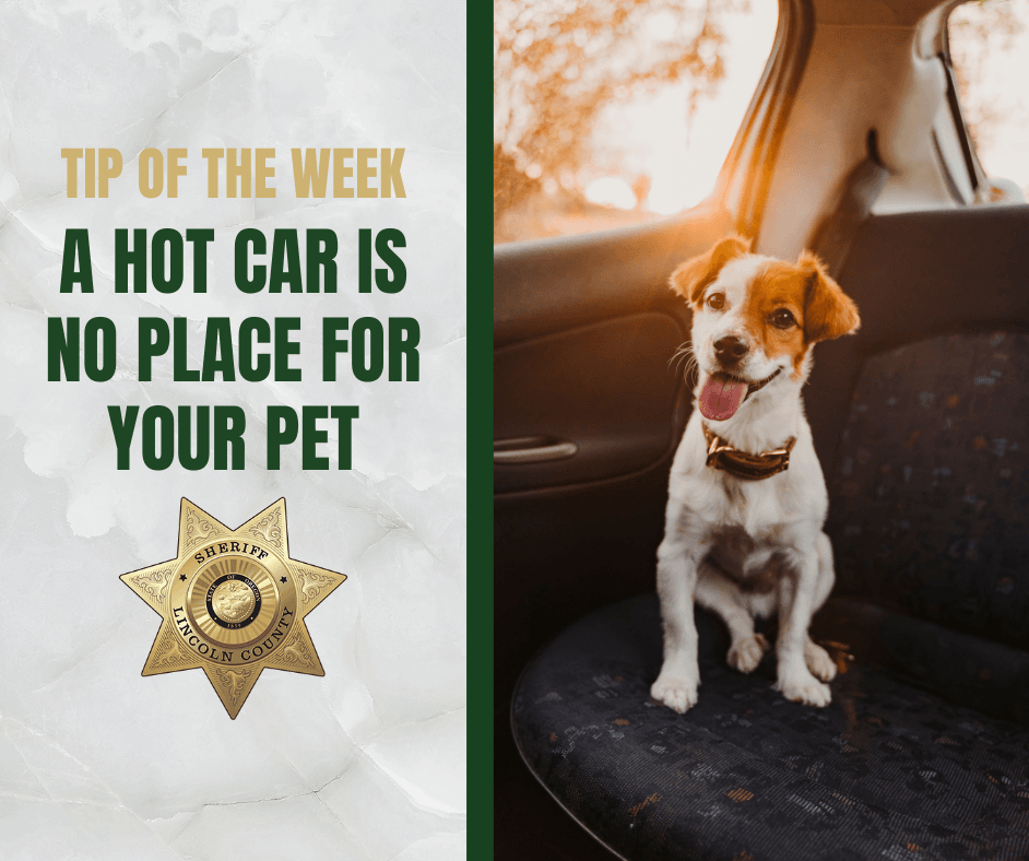 Tip of the Week Images - A Hot Car is No Place for Your Pet