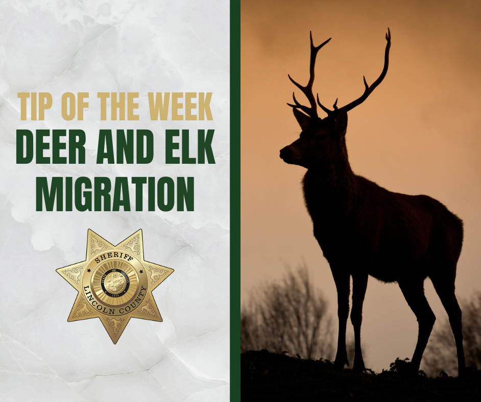 Tip of the Week Images - Deer and Elk Migration