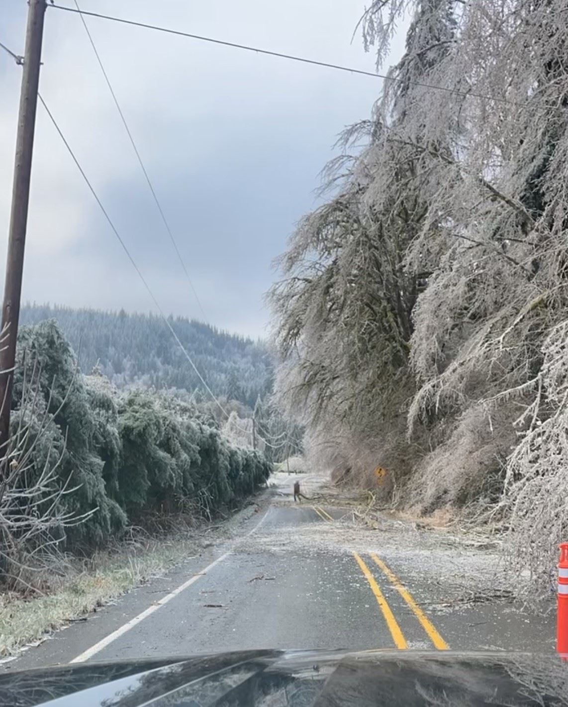 January 2024 Winter Storm - Road