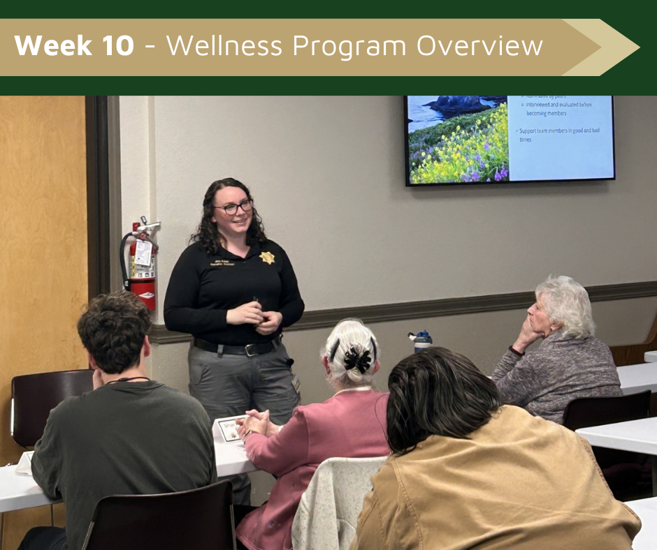Week 10 - Wellness Program Overview