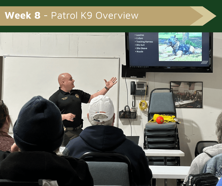 Week 8 - Patrol K9 Overview