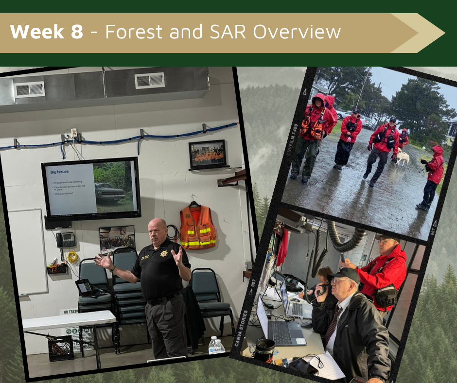 Week 8 - Forest and SAR Overview