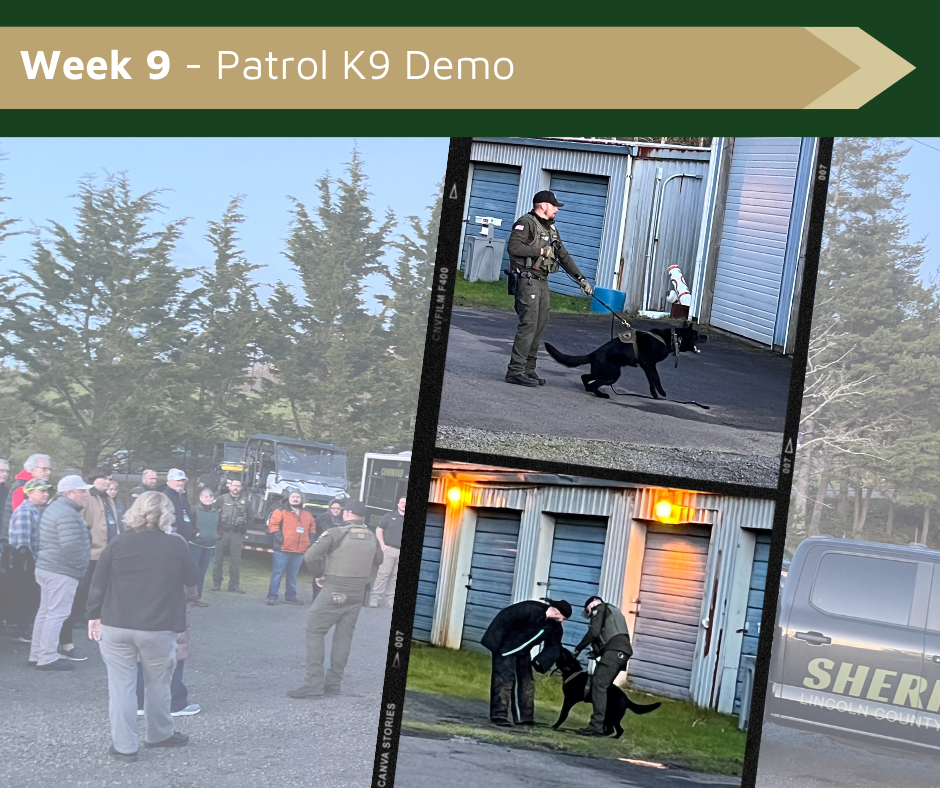 Week 9 - Patrol K9 Demo