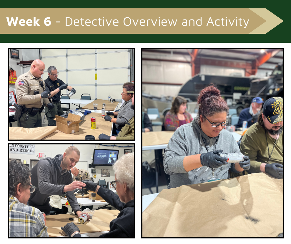Week 6 - Detective Overview and Activity
